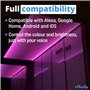 Shelly RGBW2 | Module relais Wi-Fi pour Bandes LED RGBW | Variateur de lumière | Domotique | Compatible Alexa & Google Home | Ap