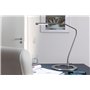 Paulmann 74995 Lampe de table Plaza LED 3W, Acier brossé, 230/12V, Métal