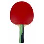 Butterfly 85018 Timo Boll Smaragd Raquette de tennis de table Noir/vert Standard