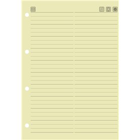 Baier schneider &insert recharge pour répertoire jaune 149 de 100 x 212 mm