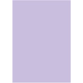 Brunnen 105122560 Lot de 25 feuilles de papier multi-usages Lilas 160 g/m² A4