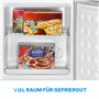 Bomann Congélateur Box 31L | Congélateur avec rangement à grille | fermeture de porte interchangeable et régulation de températu