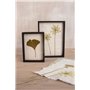 Rayher Cadre en bois avec tamis p. papier format max. 25x16 cm, nature, 27001505, Naturel