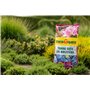 Floragard Terre dite de Bruyere UAB 3x20L