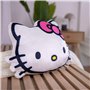 Coussin de Forme