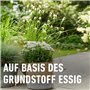 COMPO Vinaigre bio - Pour éliminer les mauvaises herbes - 100% naturel - 3 l pour 500 m² - Jaune