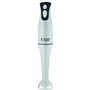 Russell Hobbs 22241 Mélangeur plongeant Food Collection