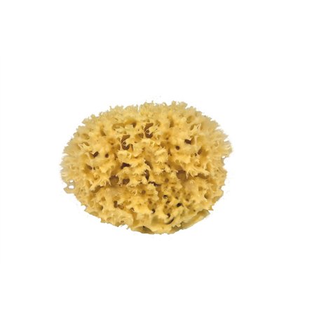 Naturschwamm M 080