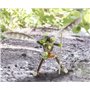 HABA Terra Kids Connectors – Kit de Construction Personnages - 8 Ans et Plus