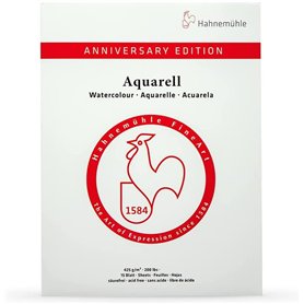 Hahnemühle Bloc de 15 feuilles pour aquarelle - Mat - 425 g/m² - 30 x 40 cm