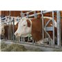 Kerbl Poids pour Colliers 500 g