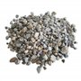 Jawoll Gravier coloré 25 kg Grain 20-40 mm Gravier décoratif pour jardin