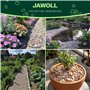 Jawoll Gravier coloré 25 kg Grain 20-40 mm Gravier décoratif pour jardin, bassin, bassin, décoration zen