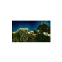 Port Royale 4 (Nintendo Switch)