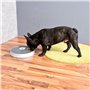 Distributeur programmable de nourriture pour chiens et chats [Infactory]