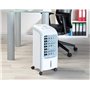Rafraîchisseur dair 75 W avec fonction oscillation LW-420.w [Sichler Haushaltsgeräte]