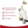 JR FARM Birds Millet à Piston Jaune dans Un Seau de 500 g