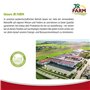 JR FARM Birds Millet à Piston Jaune dans Un Seau de 500 g