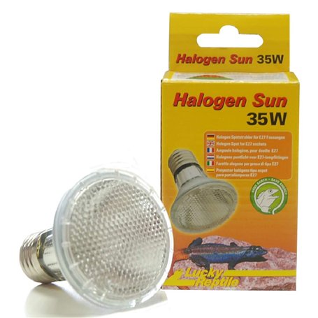 Lucky Reptile Lot de 2 spots halogènes Sun - 35 W - Pour douilles E27 - Projecteur halogène pour reptiles - Lampe de terrarium a