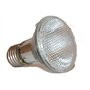 Lucky Reptile Lot de 2 spots halogènes Sun - 35 W - Pour douilles E27 - Projecteur halogène pour reptiles - Lampe de terrarium a