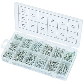 KS TOOLS 970.0420 Assortiment de vis auto-taraudeuses à tête ronde