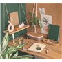 BRILLIANT TOOLS BT541900 Jeu d’extracteurs de vis