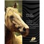 HOOFGOLD BlueStuff Soin pour sabots pour chevaux – Soin intensif pour la pourriture de radiation, le cancer et le White Line Des