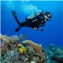 Scubapro SEAWING Supernova Oh, BLK, M Kit de détendeur pour plongée en Eau Froide Unisex-Adult, Black, M