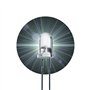 Lumetheus LED Diodes électroluminescentes 5mm couleur Blanc 7000 mcd 20 pièces 2 - 3V 2 Pin LEDs Ampoule Diode à souder