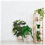 pour Pots de Fleurs jusqu'à 32 cm Ø