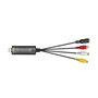 Logilink VG0030A - Enregistreur Audio/vidéo USB 2.0, 3 x RCA + miniDIN5 (S-Video) pour Windows 7/8/10/11, Mac OS 10.7 ou supérie