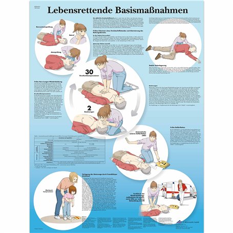 3B Scientific Gestes de base mesures Poster