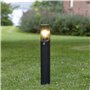 Lightbox lampe de socle d'extérieur | 60 cm de hauteur | lampe d'allée extérieure avec couvercle brun-transparent & détecteur de