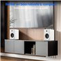 Tweeter et subwoofer i
