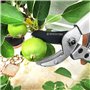 GRÜNTEK Sécateur de Jardin Petit à Enclume 195mm. Sécateur Rosieres Fleurs Plantes pour petites mains