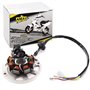 Stator d'alternateur de rechange compatible avec Aerox