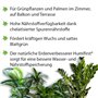 réduit la carence en nutriments