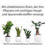 Substral Engrais liquide pour plantes vertes et palmiers, 500 ml, réduit la carence en nutriments, favorise la croissance et le 