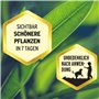 Substral Engrais liquide pour plantes vertes et palmiers, 500 ml, réduit la carence en nutriments, favorise la croissance et le 