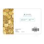 Navaris Caisse à monnaie - Monnayeur 20 x 15 x 9 cm en acier pour pièces billets - Caisse avec plateau amovible 5 compartiments 