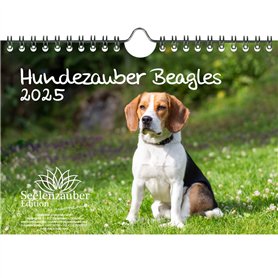 Hundezauber Beagles Calendrier 2025 pour chiots et chiens Format A5 Contenu : 1 calendrier