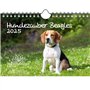 Hundezauber Beagles Calendrier 2025 pour chiots et chiens Format A5 Contenu : 1 calendrier