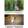Hundezauber Beagles Calendrier 2025 pour chiots et chiens Format A5 Contenu : 1 calendrier, 1 carte de Noël (2 pièces au total)