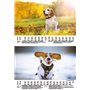 Hundezauber Beagles Calendrier 2025 pour chiots et chiens Format A5 Contenu : 1 calendrier, 1 carte de Noël (2 pièces au total)