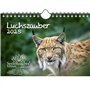 Luchszauber Calendrier DIN A5 pour lynx 2025 – Coffret cadeau Contenu : 1 calendrier