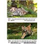 Luchszauber Calendrier DIN A5 pour lynx 2025 – Coffret cadeau Contenu : 1 calendrier, 1 carte de Noël (2 pièces au total)