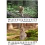 Luchszauber Calendrier DIN A5 pour lynx 2025 – Coffret cadeau Contenu : 1 calendrier, 1 carte de Noël (2 pièces au total)