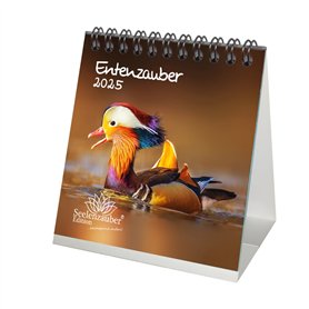 Entenzauber Calendrier 2025 format 10 cm x 10 cm Motif canards – Coffret cadeau Contenu : 1 calendrier