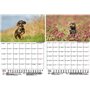 Hundezauber Calendrier 2025 Motif chiens de chasse Format A4 avec 1 calendrier, 1 pendentif de Noël, 1 étiquette de vœux (3 pièc
