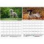 Hundezauber Calendrier 2025 Motif chiens de chasse Format A4 avec 1 calendrier, 1 pendentif de Noël, 1 étiquette de vœux (3 pièc